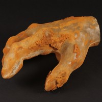 Ludo (Ron Mueck) hand mould