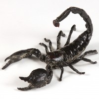 Scorpion