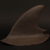 Shark fin