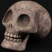 Skeleton puppet head
