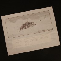 Hand drawn storyboard - Speeder