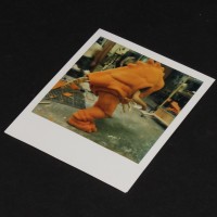 Production Polaroid - Rancor