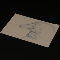 Hand drawn concept artwork - Ira