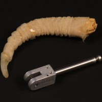 Goat puppet horn and armature section