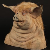 Pig reference head