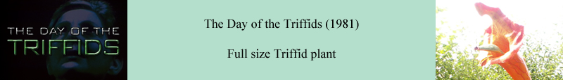 Original full size Triffid plant used in the production of The Day of the Triffids