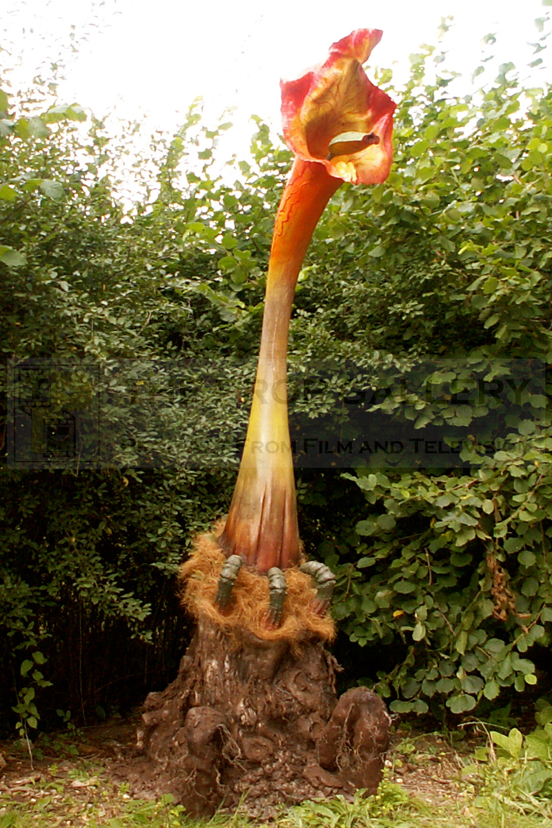 Original full size Triffid plant used in the 1981 BBC adaptation The Day of the Triffids