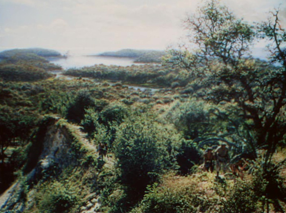 Peter Ellenshaw mate painting for Treasure Island (1950)