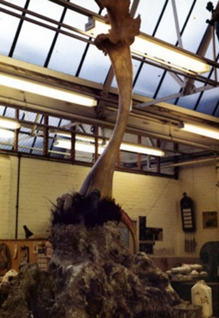 One of the Triffid props under construction at BBC Visual Effects (Image courtesy Steve Drewett)